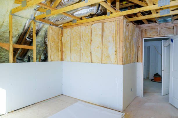 Best Insulation Replacement Services  in Haddon Heights, NJ
